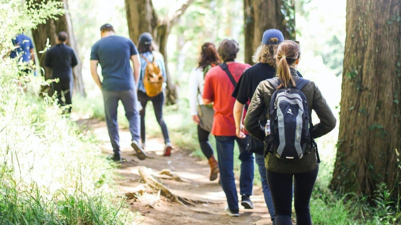 Mensen op wandel door het bos