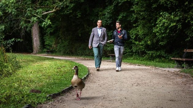 Lieven, Brecht en een gans