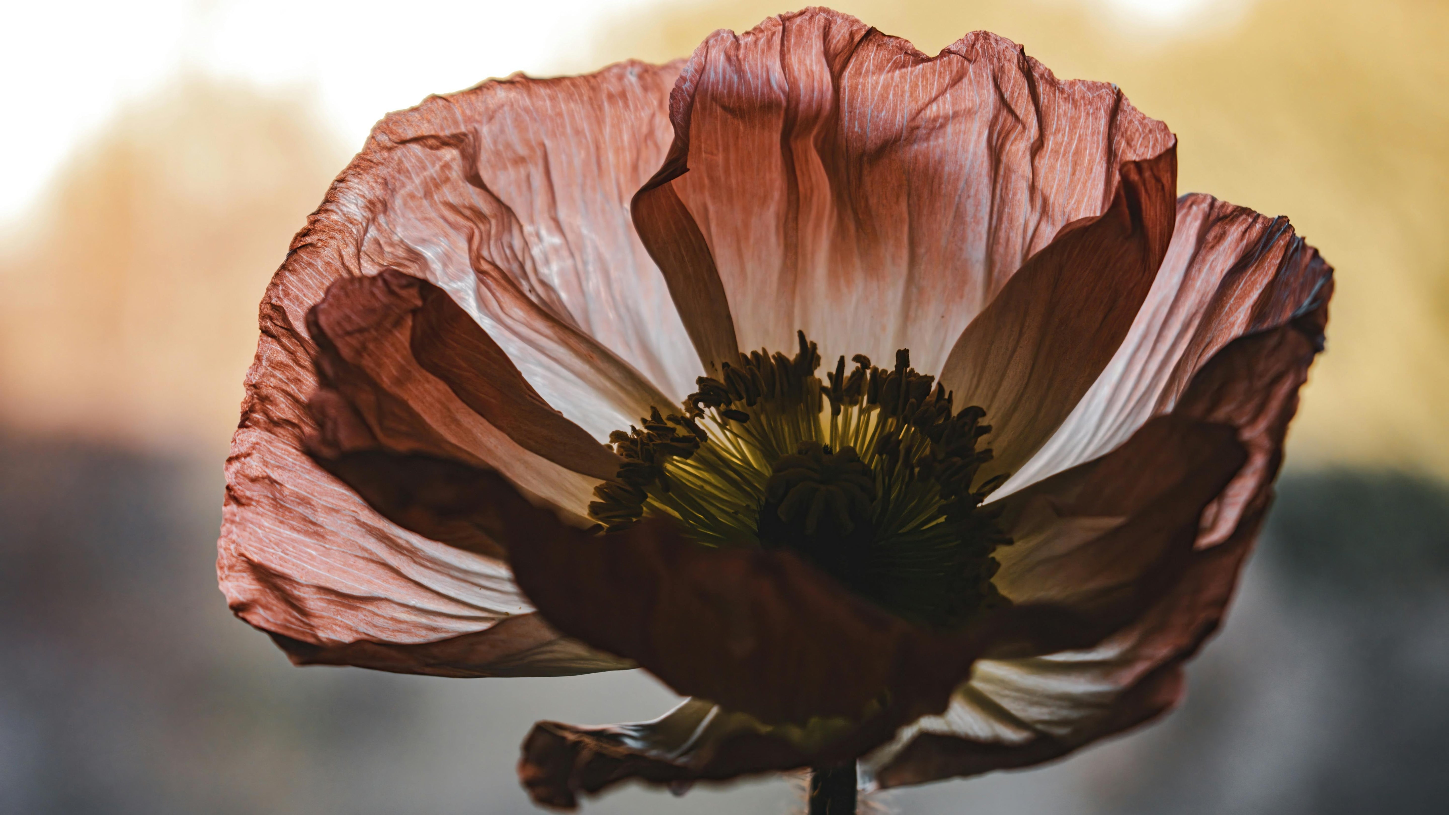 Een toxische werkomgeving belemmert groei