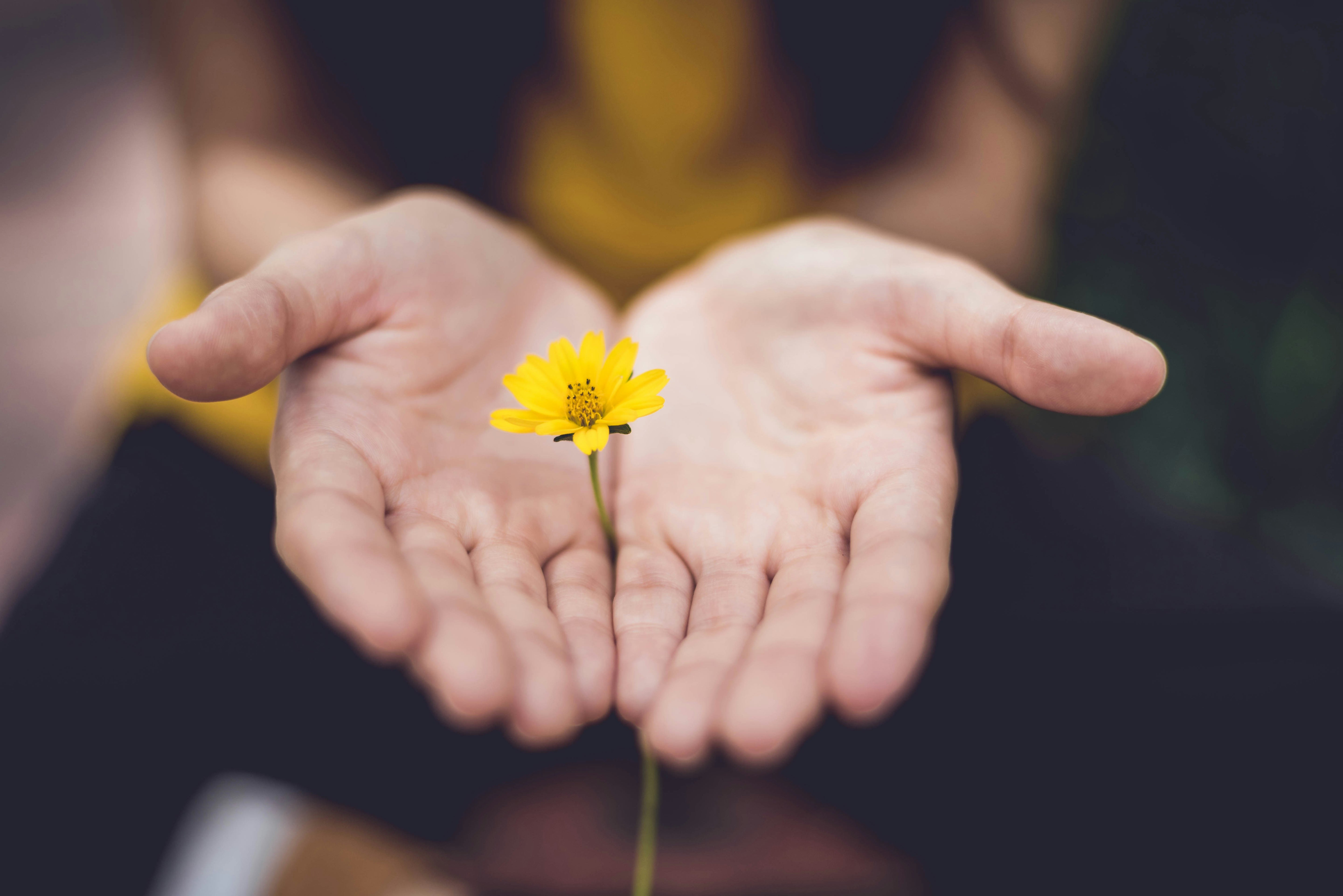 Bloem in hand als symbool voor waarden