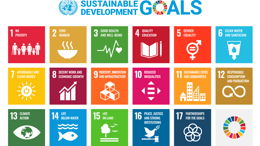 De 17 Sustainable Development Goals