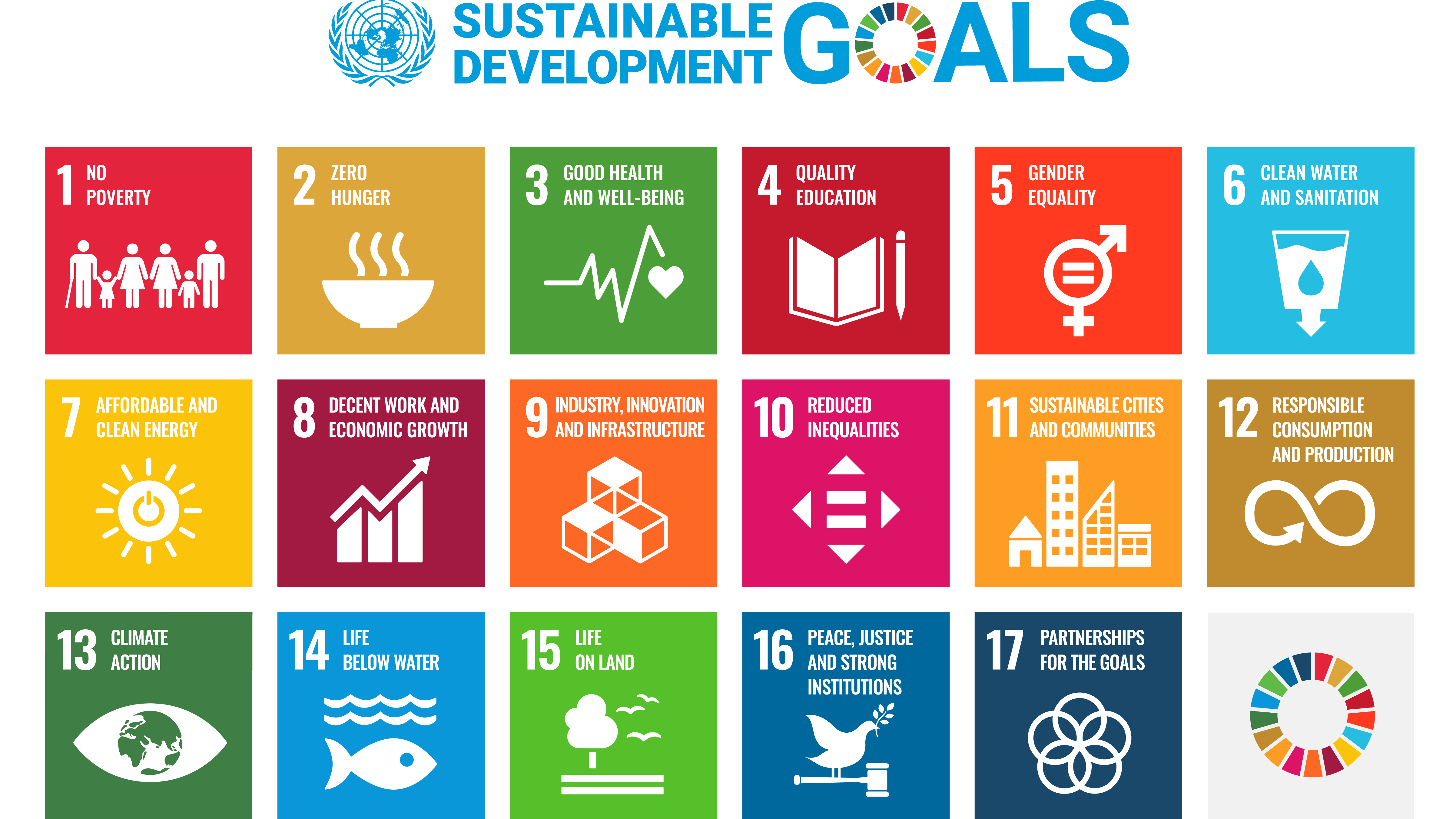 De 17 Sustainable Development Goals