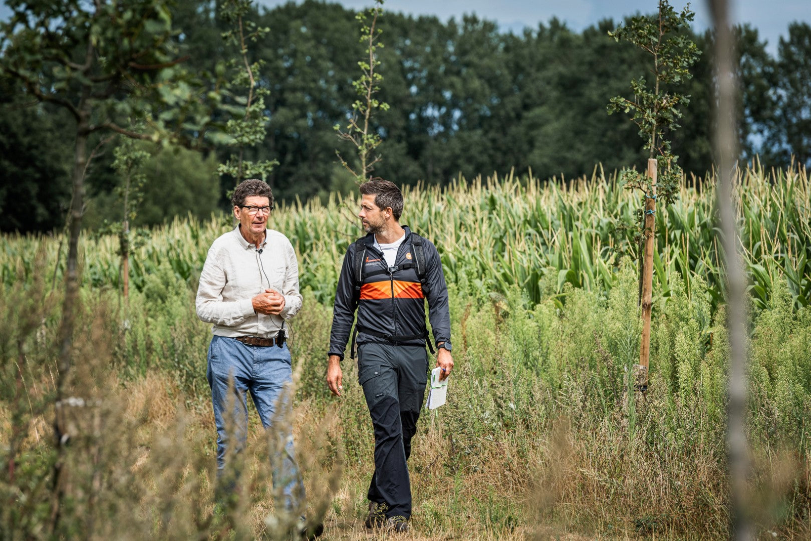 Beeldmateriaal uit het boek Whealthy Workplaces