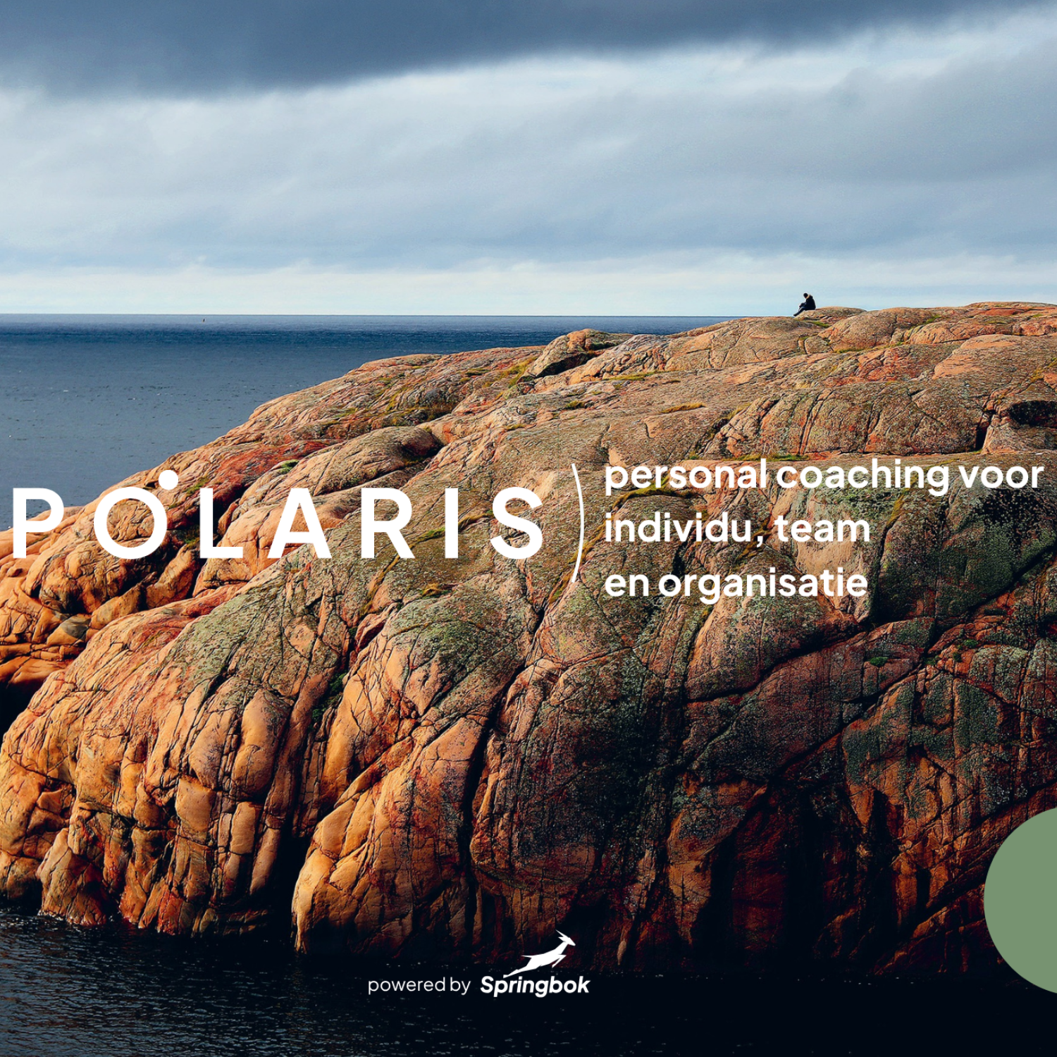 Polaris - coaching voor individu, team en organisatie