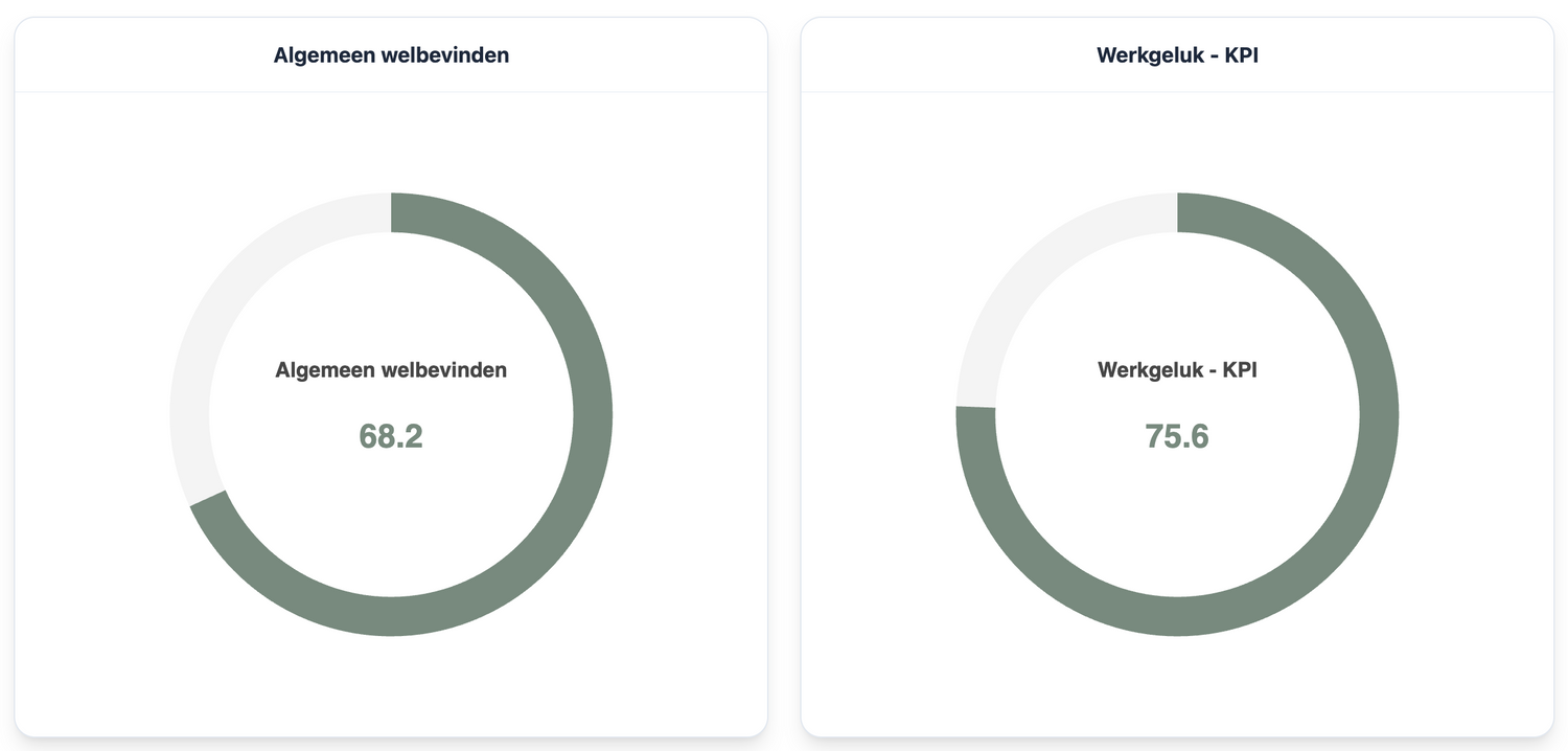 Medewerkers welzijnsscan met analyse en plan van aanpak - Analyse